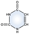 Cytosine