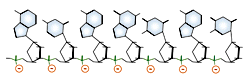 Each phosphate has a negative formal charge.