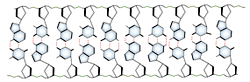 Base pairing of complementary nucleic acids