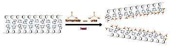 Denaturation of DNA or RNA by formamide or urea