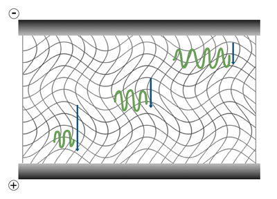 Determination of sample mobility.