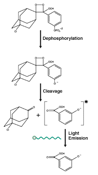 Light emission by CSPD