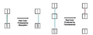 Simple absorption vs. fluorescence.