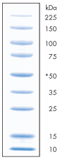 protometrics