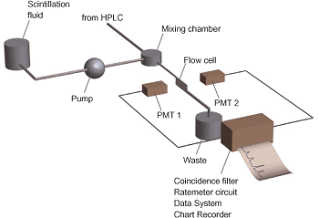 lsc2_3a