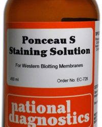 Ponceau S Staining Solution