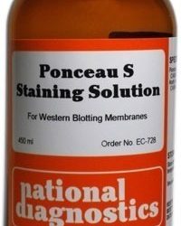 Ponceau S Staining Solution