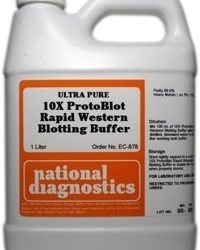 ProtoBlot Rapid Western Blotting Buffer 10X