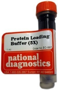 Protein Loading Buffer 5X