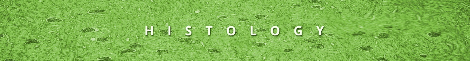 HISTOLOGY HEADER-2