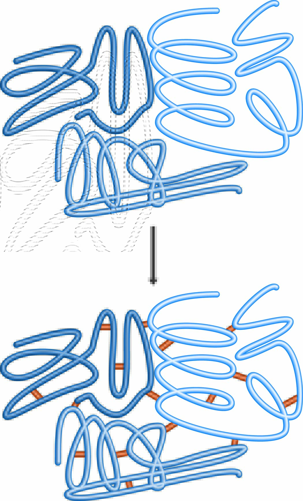 Crosslinks Formed by Aldehyde fixatives
