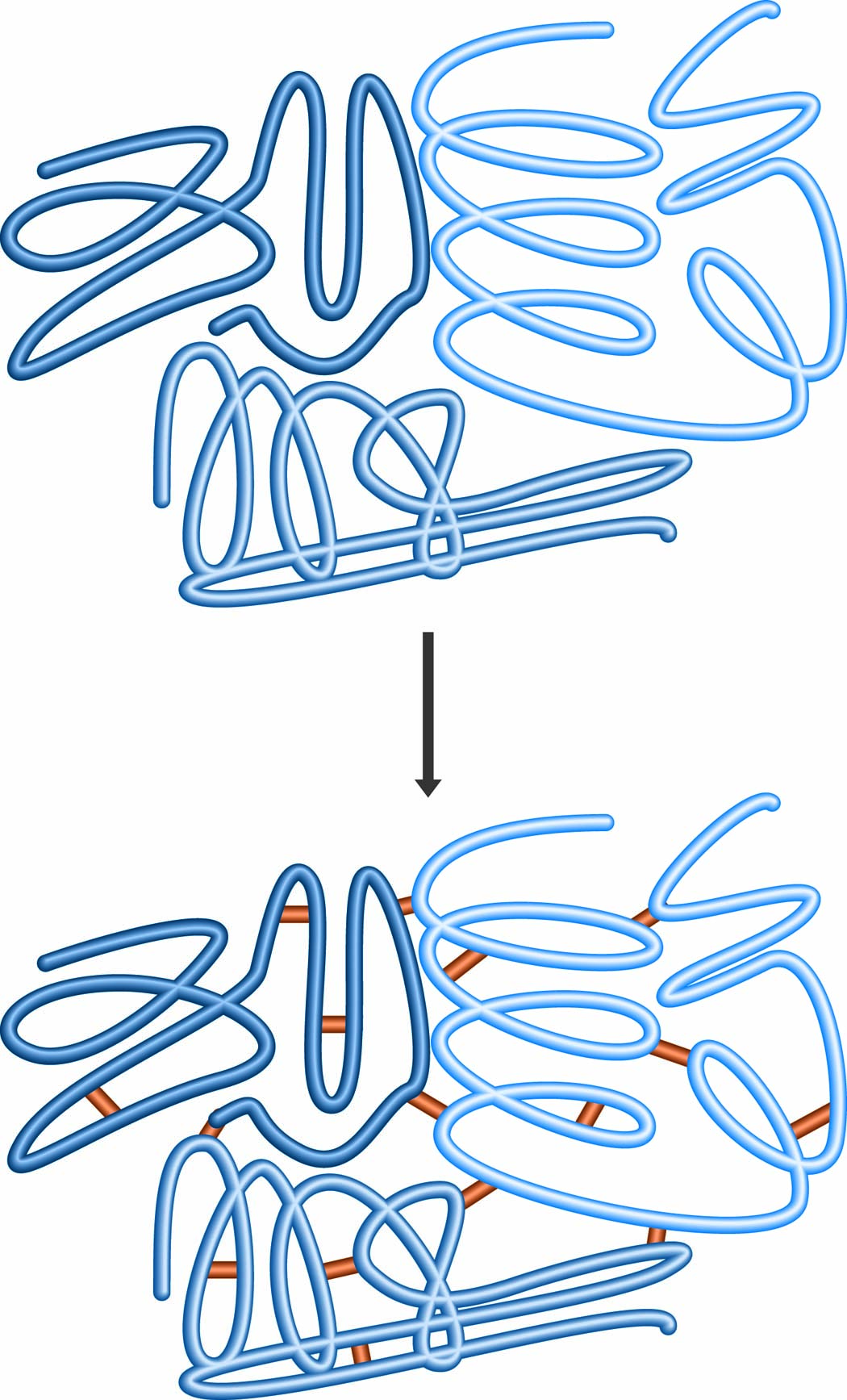 Crosslinks Formed by Aldehyde fixatives