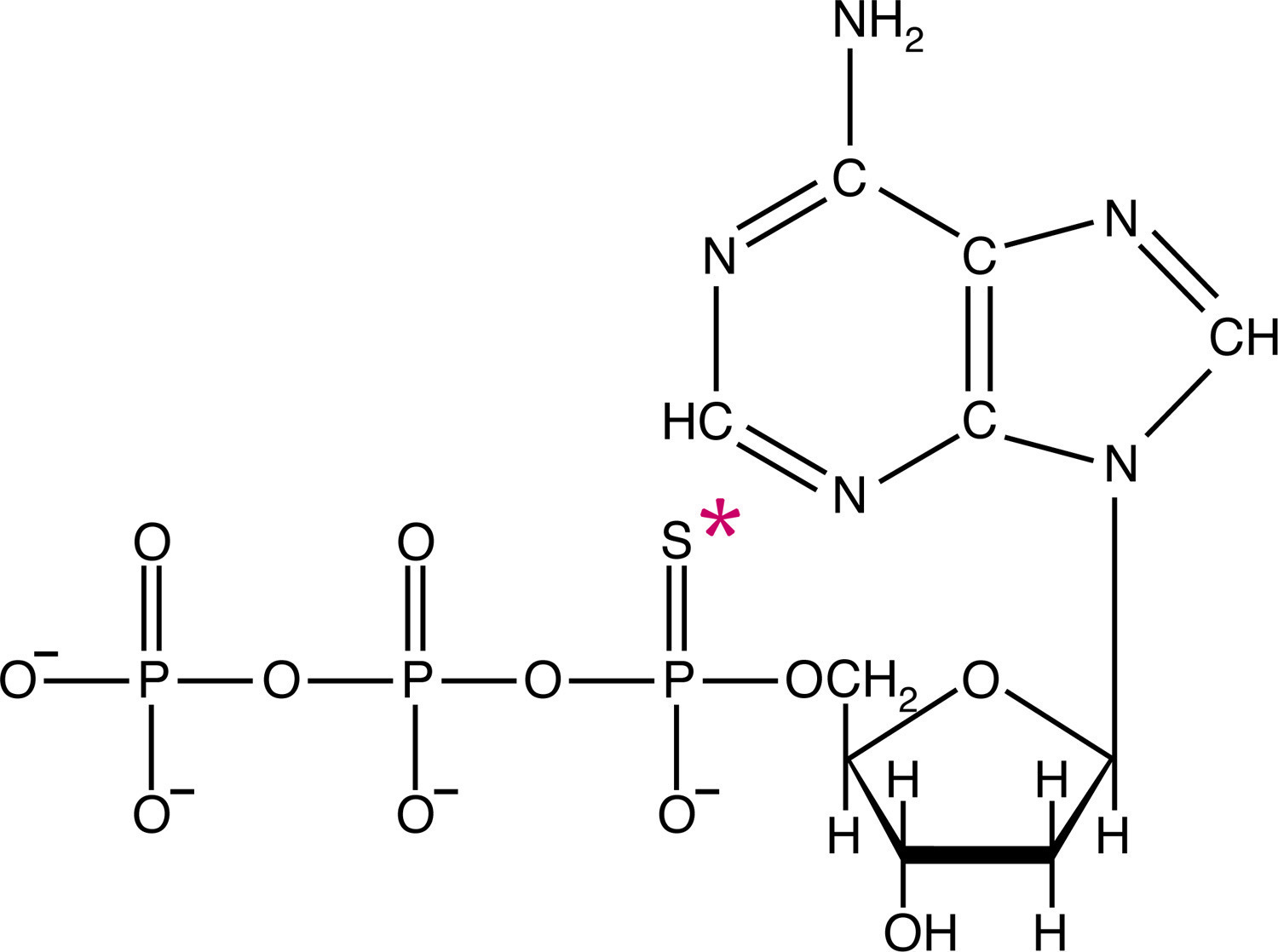 Radiolabeled Biological Molecules