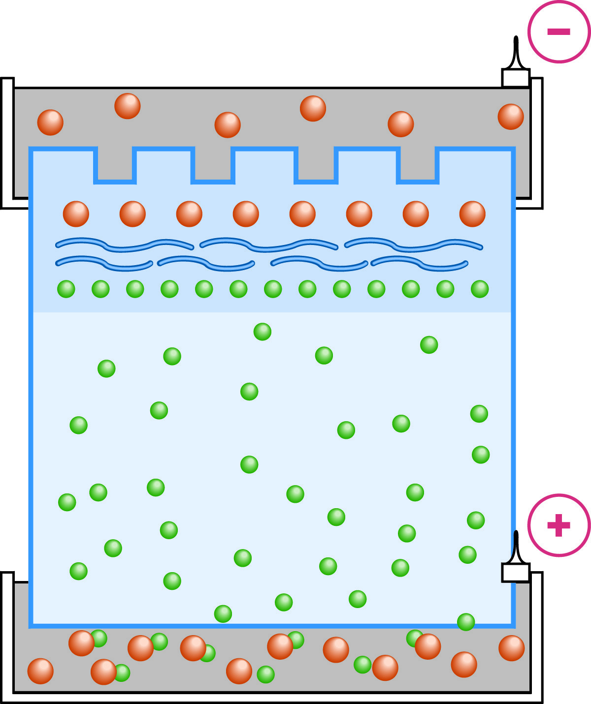 Stacking Gel in SDS-PAGE