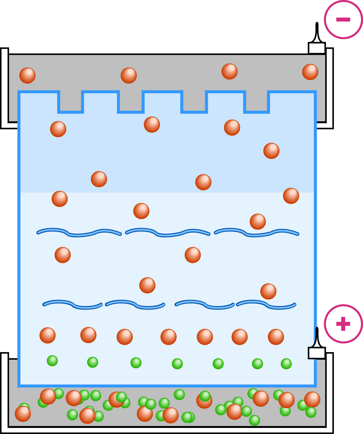 Resolving gel in SDS-PAGE