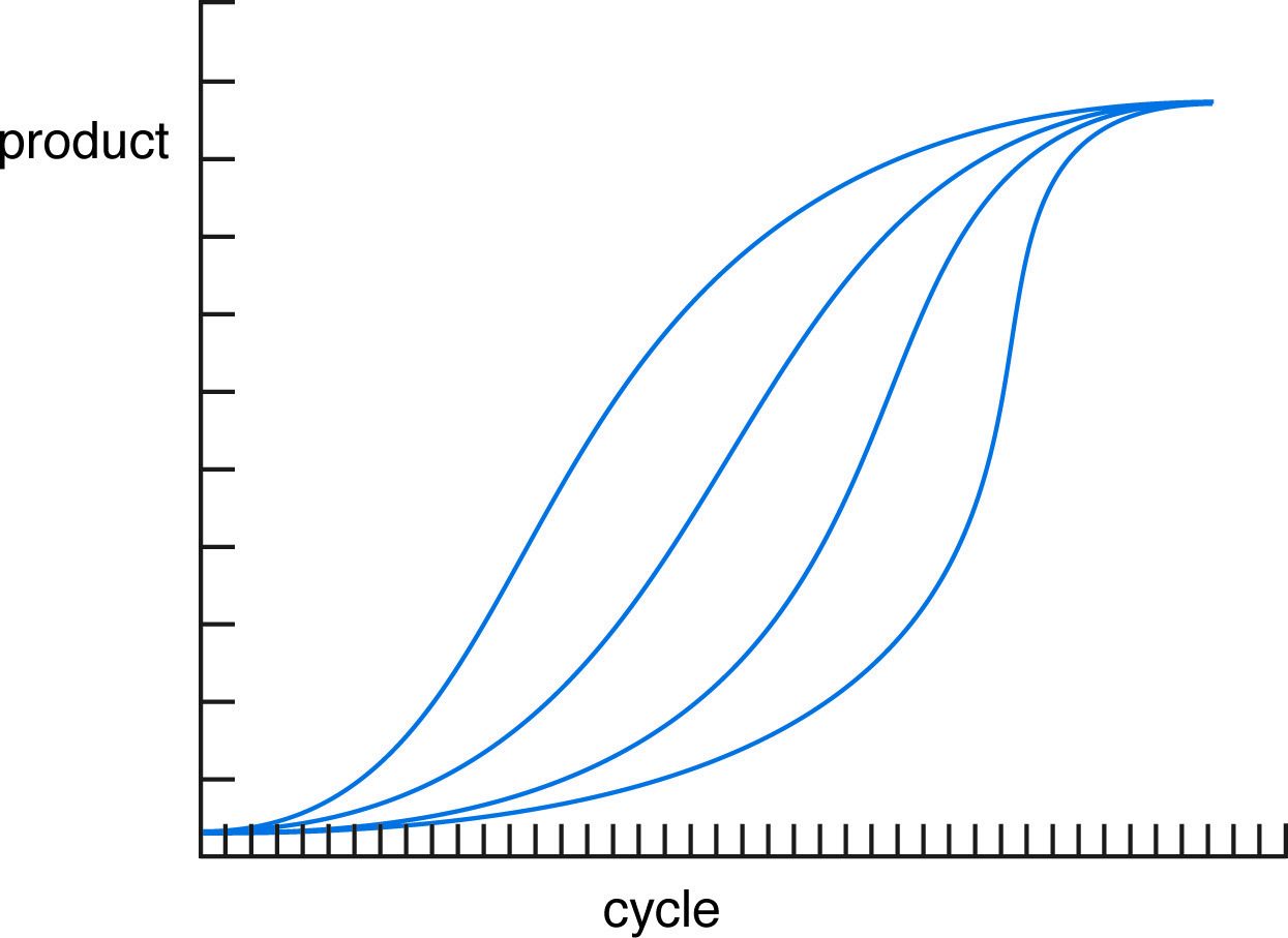 PCR amplification