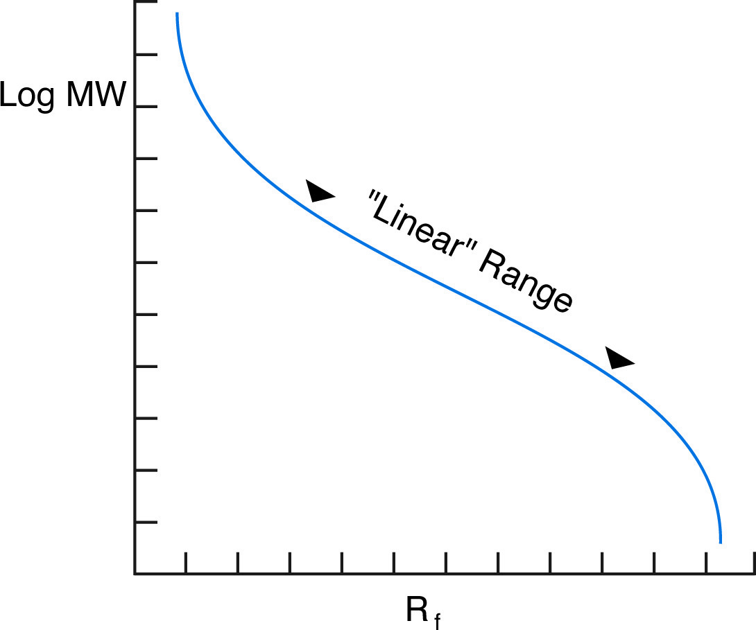 Log MW versus Rf